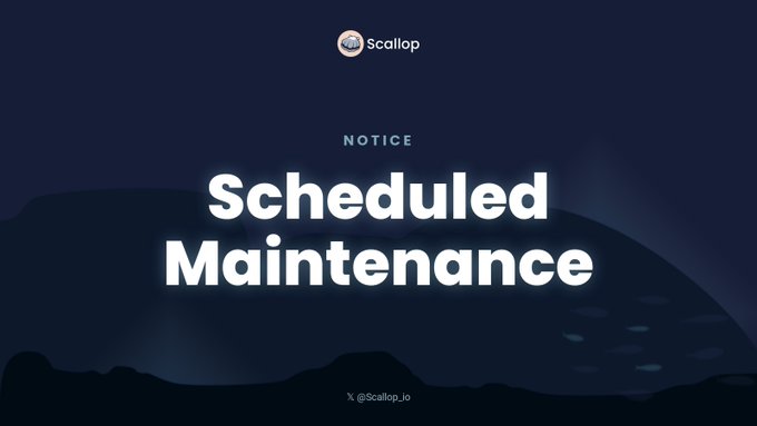 A dark blue notice banner from Scallop announcing scheduled maintenance, with the X handle @Scallop_io at the bottom.