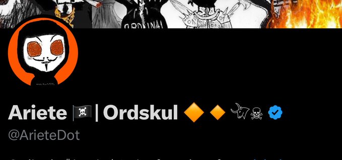 A Twitter profile header for 'Ariete' (@ArieteDot) with the display name 'Ariete | Ordskul' and a black and orange skull-like profile picture.
