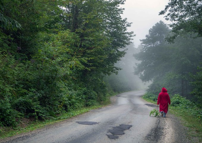 The image shows a person walking down a road surrounded by trees in the fog, hinting at a peaceful and serene atmosphere. This serene and misty environment perfectly captures the essence of "Serenity in the Fog" by QT, a Tezos art piece from the #MadeCommunity1 collection, with only 15 XTZ available.