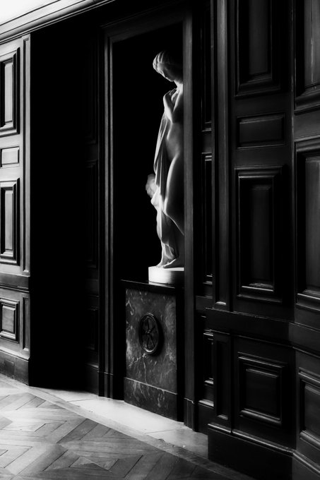 Black and white artistic photo of a classical draped statue standing in an alcove between ornate wooden paneled doors on a parquet floor.