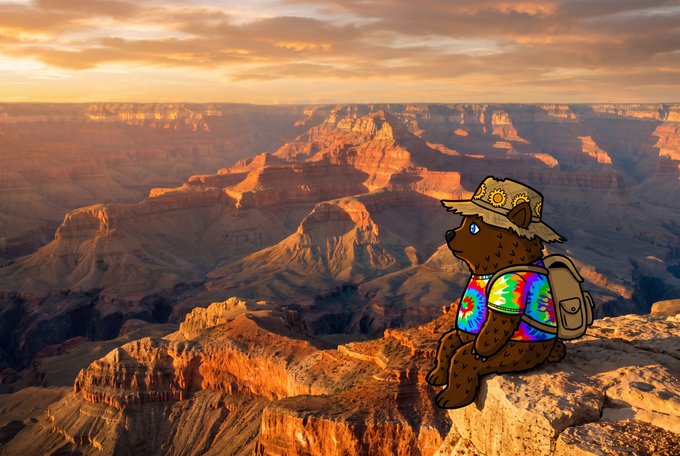 An illustration of a brown bear character wearing a sun-patterned hat, tie-dye shirt, and backpack, sitting on the edge of the Grand Canyon at sunset.