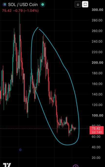 A TradingView candlestick chart of SOL/USD Coin showing a price of 75.42, down 1.04%, with a large blue oval drawn around a significant price decline.