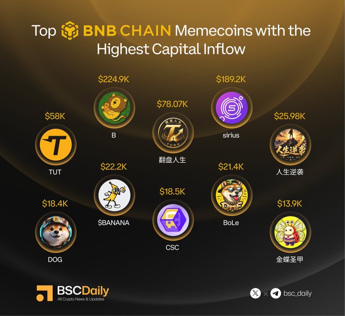 A graphic from BSCDaily showcasing the top 10 BNB Chain memecoins by capital inflow, led by "B" at $224.9K and "sirius" at $189.2K, followed by 翻盘人生 ($78.07K), TUT ($58K), 人生逆袭 ($25.98K), $BANANA ($22.2K), BoLe ($21.4K), CSC ($18.5K), DOG ($18.4K), and 金蝶圣甲 ($13.9K). The image pairs with the post by tagging each coin's associated Twitter handle, providing a quick visual reference for which BSC memecoins are attracting the most investment.