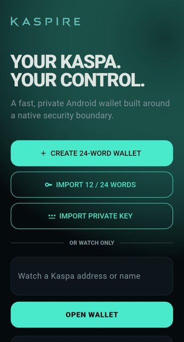 A mobile screenshot of the KASPIRE app onboarding screen titled 'YOUR KASPA. YOUR CONTROL.', advertising a fast, private Android wallet with options to Create 24-Word Wallet, Import 12/24 Words, Import Private Key, or Open Wallet via watch-only address.