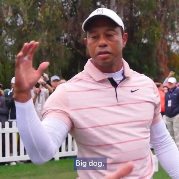 Tiger Woods wearing a pink striped Nike polo and white cap raises his hand, with the caption 'Big dog.' displayed at the bottom of the image.