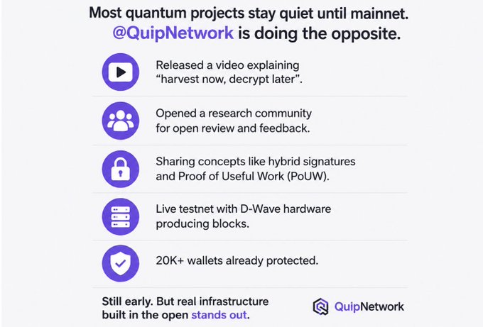 A promotional graphic for @QuipNetwork explaining that most quantum projects stay quiet until mainnet, while QuipNetwork releases educational videos, opens research communities, and runs a live testnet with D-Wave hardware protecting 20K+ wallets.