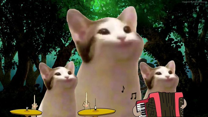 A humorous meme image featuring three white cats with identical smug expressions against a green forest background, with the front cat playing drums and an accordion, while musical notes float around them.