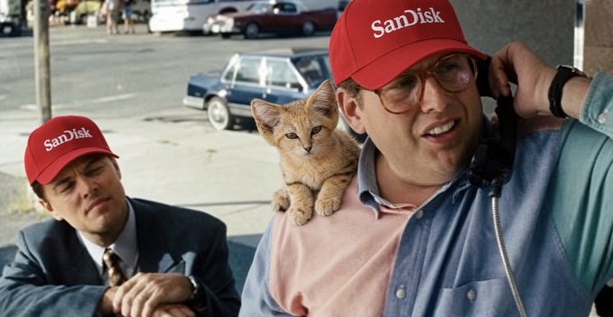 Two men wearing red "SanDisk" caps pose with a small orange kitten, with one man talking on a payphone while the kitten perches on his shoulder. The image humorously visualizes the post's joke about quitting a job for a SanDisk ($SNDK) memecoin called "Sand Kitten."