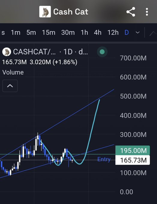 A cryptocurrency chart for "Cash Cat" (CASHCAT) showing a price of 165.73M with a 3.020M (+1.86%) gain, displaying a bullish ascending triangle pattern breakout.