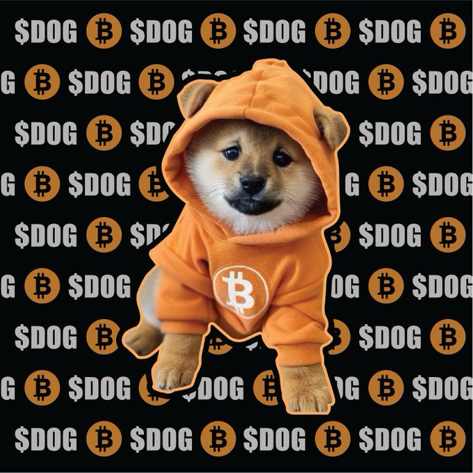 A Shiba Inu dog wearing an orange Bitcoin hoodie, placed against a repeating background pattern of orange Bitcoin logos and the text '$DOG'.