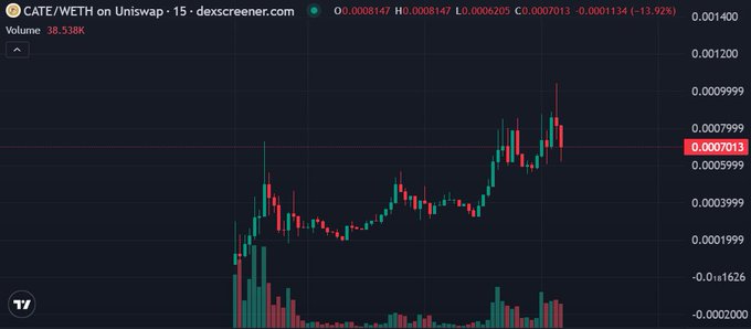 A candlestick chart displays CATE/WETH on Uniswap, showing the pair trading near 0.0007013 with a 13.92% decline, suggesting heightened volatility and trading interest in the $CATE token—likely driven by the social media buzz mentioned in the post about $BABYDOGE noticing it as a "cat version" of Dogecoin.
