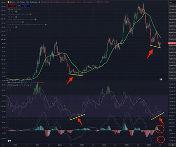 A TradingView chart displays the BTCUSDT weekly price action (top panel) and USDT.D dominance (bottom panel), with red arrows highlighting bullish divergence on Bitcoin's RSI and bearish divergence on USDT dominance's RSI, supporting the post's claim of two bullish signals bears want hidden.