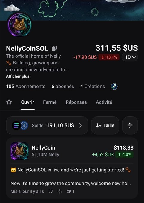 A cryptocurrency profile page for NellyCoinSOL showing a price of 311.55 USD, down 17.90 USD or 13.1%, with French interface text including 'Ouvert' and 'Fermé'.
