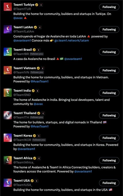 A Twitter/X feed shows multiple Team1 regional accounts (Türkiye, LatAm, Brasil, Vietnam, India, Thailand, Korea, Africa, USA) all marked with following indicators, representing the Avalanche (AVAX) community building accounts worldwide.