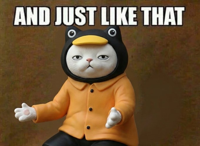 A meme featuring a grumpy-looking cat wearing a penguin hoodie and an orange jacket, with the bold text 'AND JUST LIKE THAT' displayed at the top.