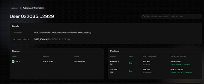 A cryptocurrency portfolio interface showing 'User 0x2035...2929' with an address '0x20351c5D58C046E7caED039ADe584a6509672929' and an account balance of $826,450.49, including positions for NEAR/USDT and ETH/USDT.
