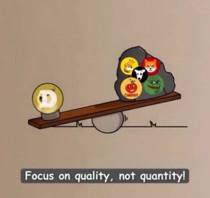 A cartoon illustration showing a seesaw/balance with a Dogecoin symbol on the lighter side and a rock containing multiple cryptocurrency logos (including Dogecoin, Shiba Inu, and others) on the heavier side, with the caption 'Focus on quality, not quantity!'