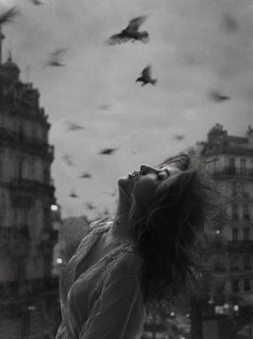 A black and white photo of a woman with wild, flowing hair looking up toward a flock of birds against an urban skyline.