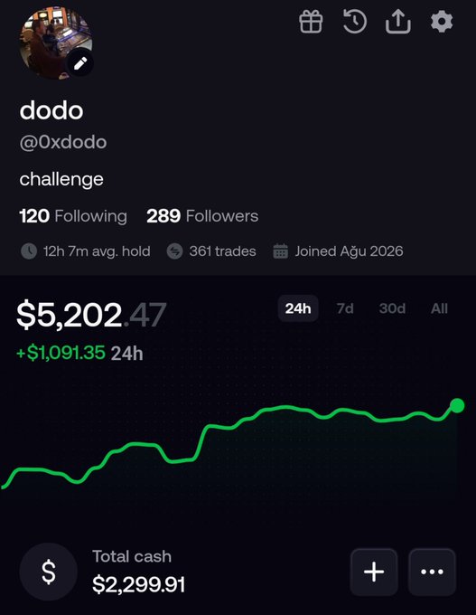 A mobile app profile for user 'dodo' (@0xdodo) showing a portfolio value of $5,202.47 with a green positive trend line and a 24h gain of +$1,091.35.