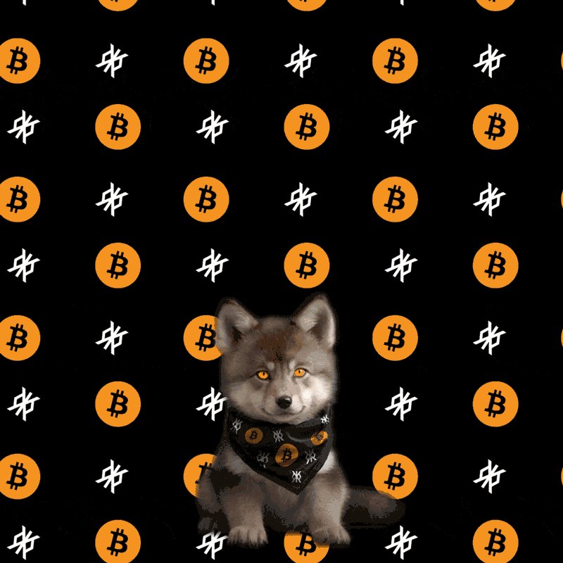 The image features a small dog sitting in front of a black background with white circles, which are adorned with the letters "B", "T", "O", and "K". The dog appears to be wearing a bandana or a scarf that has the letters "B" and "T" on it. The text "TBT $LOBO" is also present in the image.