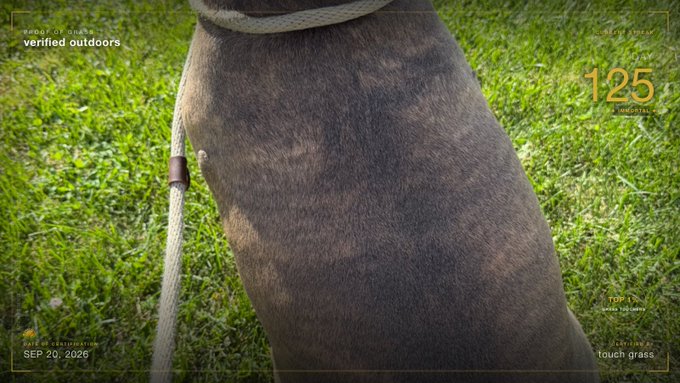 An overhead shot shows a dark-furred dog on a leash sniffing green grass, with overlay text reading 'verified outdoors', '125', 'SEP 20, 2026', and 'touch grass'.