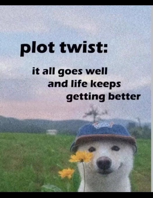 A meme featuring a golden retriever wearing a hat with a flower, captioned 'plot twist: it all goes well and life keeps getting better' against a field and sunset background.