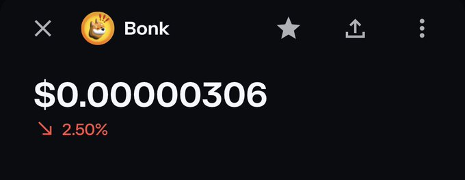 A screenshot showing the price of the Bonk cryptocurrency token at $0.00000306, down 2.50% in red text on a dark background.