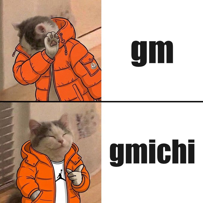 A two-panel meme featuring a cat in an orange puffer jacket; the top panel shows it covering its face with the text 'gm', and the bottom shows it smiling with the text 'gmichi'.