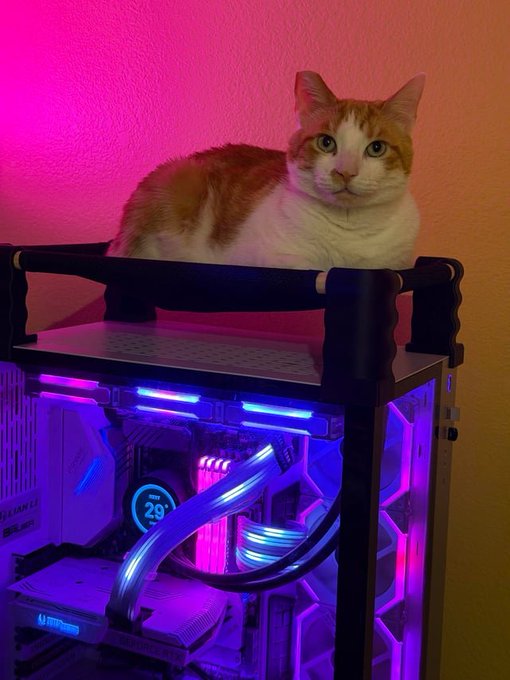 Photograph of an orange-and-white cat lying on top of a custom liquid-cooled PC with pink and purple RGB lighting, featuring a Corsair display showing '29°'.