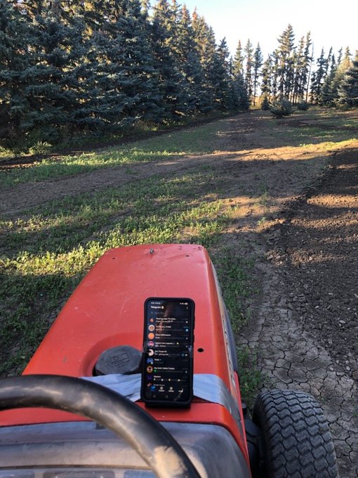 A first-person view from a tractor in a grassy area surrounded by pine trees, with a smartphone displaying a chat list resting on the orange hood.