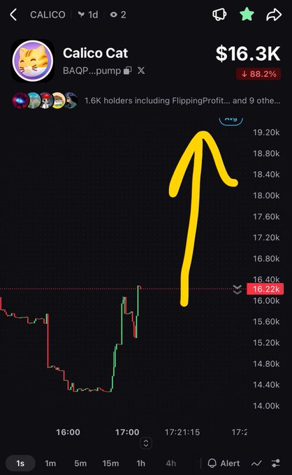 Trading chart screenshot showing 'Calico Cat' (BAQP...pump) meme coin at $16.3K with an 88.2% decline, displaying a dramatic price drop from approximately $19K to $14K.
