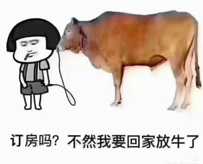 A cartoon image of a boy holding a cow by a rope, with Chinese text below reading '订房吗? 不然我要回家放牛了' which translates to 'Booking a room? Otherwise I have to go home and herd cows.'