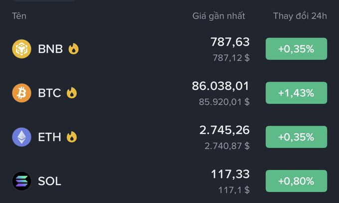 A cryptocurrency price tracker displays BNB at $787.63 (+0.35%), BTC at $86,038.01 (+1.43%), ETH at $2,745.26 (+0.35%), and SOL at $117.33 (+0.80%), all shown with green percentage increases.
