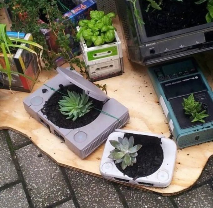 Several retro video game consoles (including a PlayStation and GameCube) are repurposed as planters, filled with soil and small succulents.