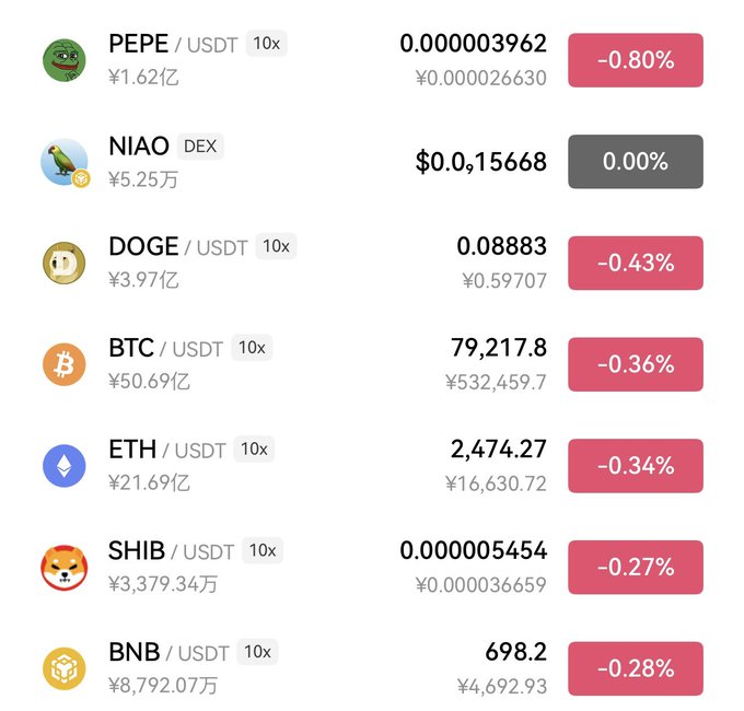 A cryptocurrency price list showing pairs including PEPE/USDT, DOGE/USDT, BTC/USDT, ETH/USDT, SHIB/USDT, and BNB/USDT, with most assets displaying small percentage declines.