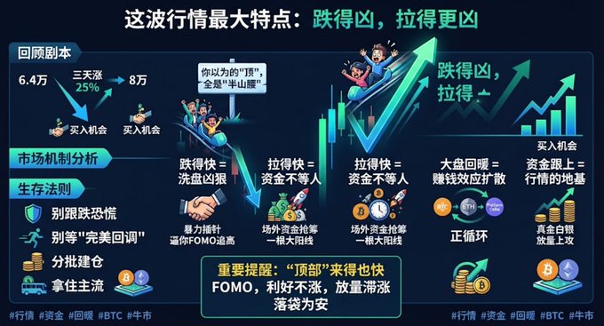 A Chinese-language cryptocurrency infographic titled '这波行情最大特点：跌得凶，拉得更凶' (The biggest feature of this market: falls hard, rises harder), analyzing market mechanisms and survival rules with BTC and FOMO references.