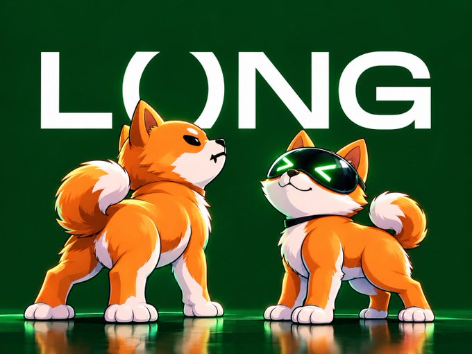 The text "LONG" appears in large white letters against a dark green background, positioned above two cartoon-style Shiba Inu dogs; one stands alertly looking up, while the other wears a futuristic black visor displaying glowing green symbols.