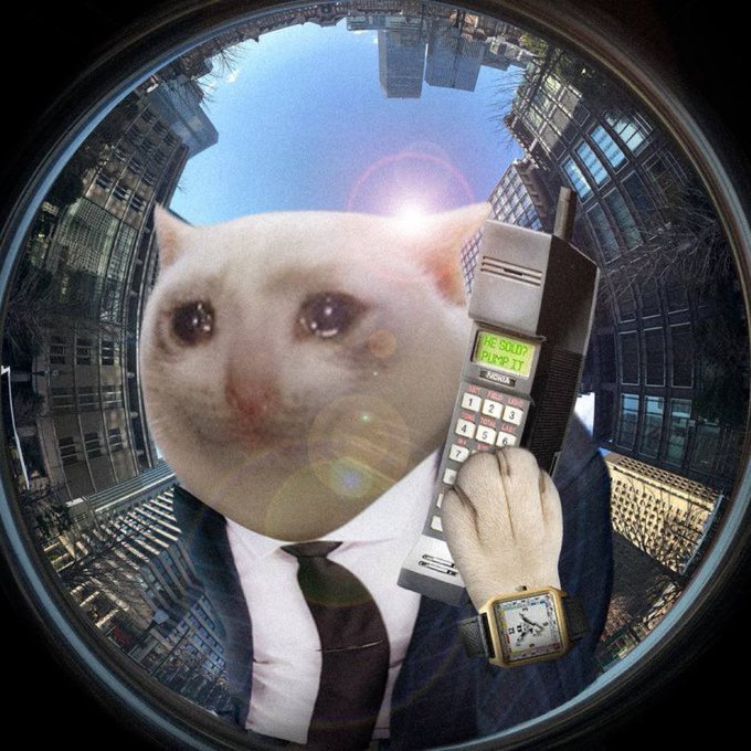 A cat-headed "businessman" in a suit and tie holds a Nokia cell phone displaying "THE GOOD PUMP IT" against a fisheye cityscape backdrop, humorously personifying the "$CASHCAT" crypto pump referenced in the post.