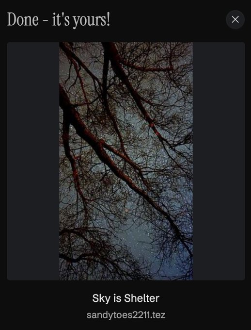 Screenshot of an objkt.com NFT collection confirmation displaying "Done - it's yours!" above a nighttime photograph of silhouetted tree branches against a starry sky, titled "Sky is Shelter" by artist sandytoes2211.