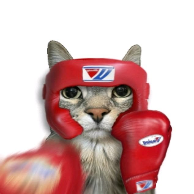 A humorous edited photo of a tabby cat wearing a red Winning brand boxing headgear and matching red boxing gloves in a fighting pose against a white background.
