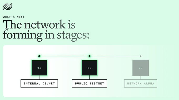 A green-tinted roadmap graphic titled "What's Next: The network is forming in stages," showing a three-step timeline with completed stages "01 Internal Devnet" and "02 Public Testnet" highlighted in black, and an upcoming "03 Network Alpha" stage in gray. The visual reinforces the post's message by illustrating that the project has progressed through early development and testing phases, with mainnet launch as the next milestone.