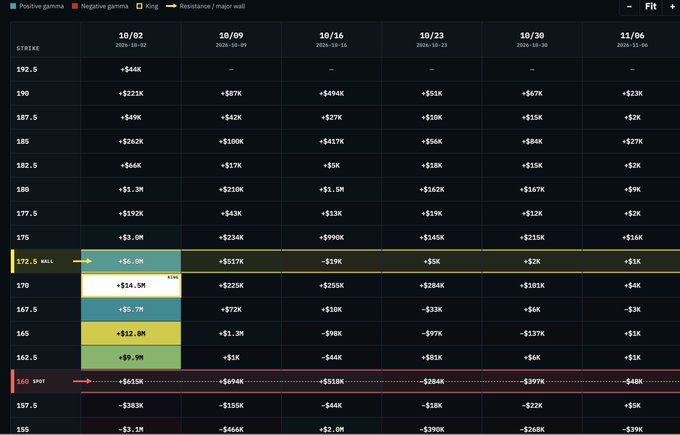 A heatmap table showing options strike prices on the y-axis and expiration dates across the top, with positive gamma values in blue and negative gamma values in red.
