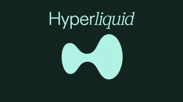 The image shows the Hyperliquid logo, featuring the word "Hyperliquid" in light teal text above a stylized droplet-shaped icon on a dark background. The logo represents the cryptocurrency platform being discussed in the post, which highlights $HYPE as a strong long-term investment by outlining five key reasons, starting with its growing buyback engine driven by protocol revenue.
