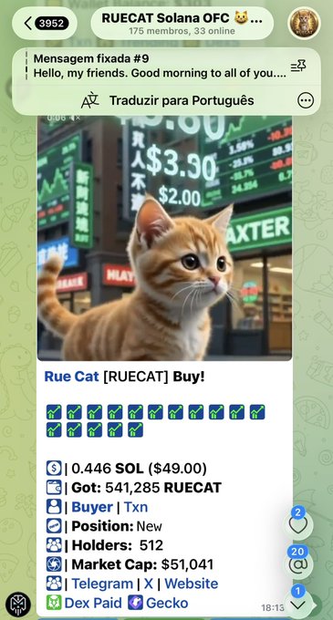 A screenshot of a Telegram group called 'RUECAT Solana OFC' showing information about a cat-themed Solana token (RUECAT) priced at $49.00 with a market cap of $51,041, alongside an image of an orange cat in front of stock tickers.