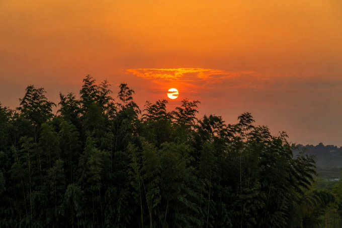 A scenic photograph of a sunset with an orange sky, where the sun is partially visible above the silhouetted tops of trees.