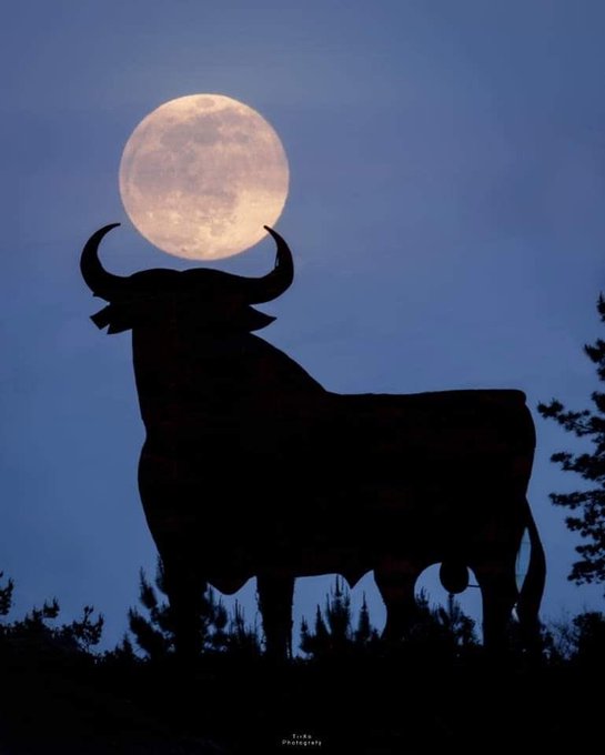 A silhouette of a bull statue against a twilight sky, with a large full moon perfectly positioned between its horns.