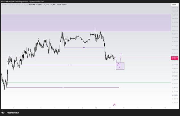 A TradingView chart of USDCST/USDT on MacroXBT, showing price action with technical analysis drawings including support/resistance zones and a 'W' pattern prediction.