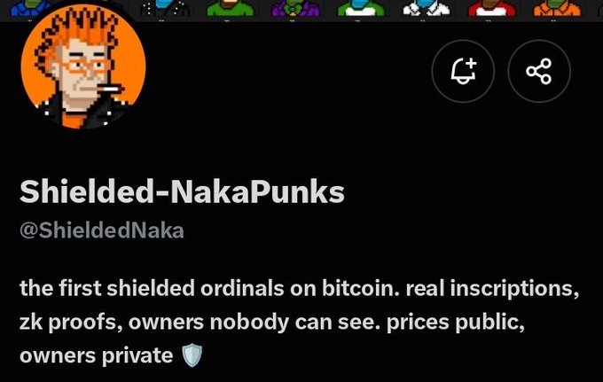 A X (Twitter) profile screenshot for Shielded-NakaPunks (@ShieldedNaka) with the bio "the first shielded ordinals on bitcoin. real inscriptions, zk proofs, owners nobody can see. prices public, owners private," featuring a pixel art orange avatar.