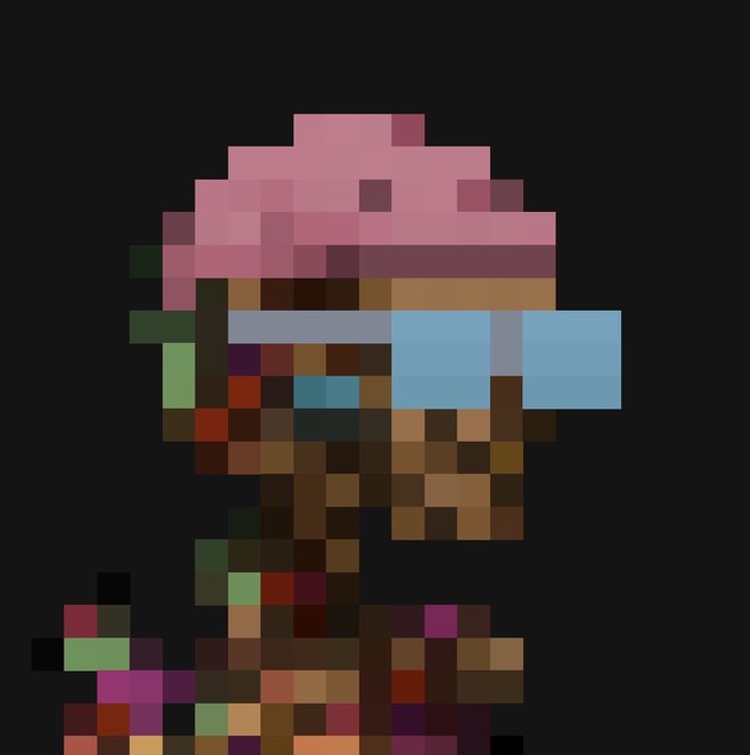 Pixel art portrait depicting a figure wearing a pink mushroom-like hat with a brown textured body, rendered in blocky retro style against a black background.