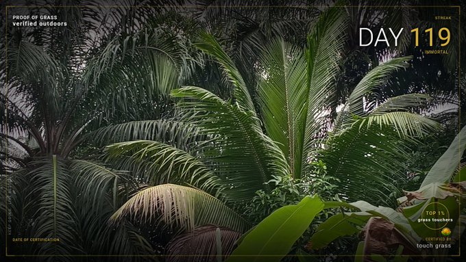 An 'IMMOSTAL' branded image showing a lush tropical scene with palm trees, marked 'DAY 119' and 'STREAK', with overlays noting 'PROOF OF GRASS verified outdoors' and 'TOP 1% grass touchers CERTIFIED BY: touch grass'.